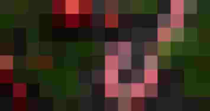 Weihnachtsmarkt 2024