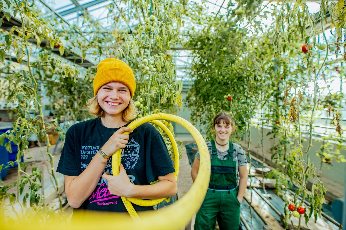 Jugendliche der Ausbildung Gartenbau und Gartencenter beim Bewässern der Tomatenpflanzen im Glashaus.