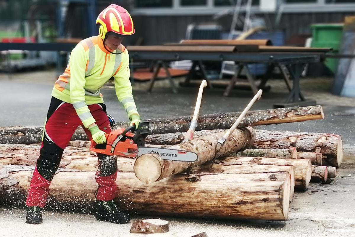 Ein Jugendlicher schneidet mit der Motorsäge eine Holzscheibe von einem Baumstamm ab.