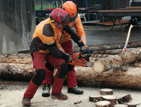 Ein Ausbilder hilft einem Jugendlichen mit der Motorsäge eine Baumscheibe von einem Baumstamm zu schneiden.