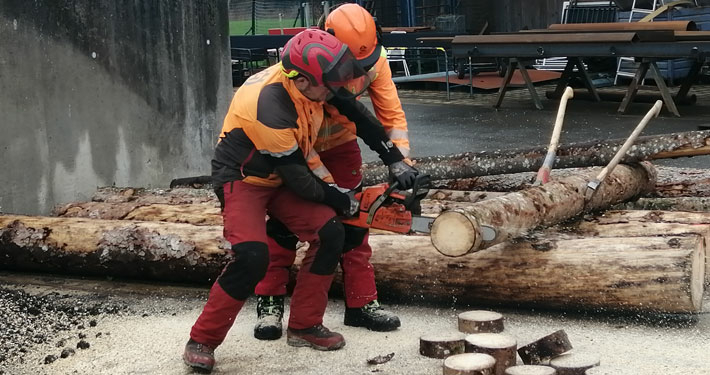 Ein Ausbilder hilft einem Jugendlichen mit der Motorsäge eine Baumscheibe von einem Baumstamm zu schneiden.