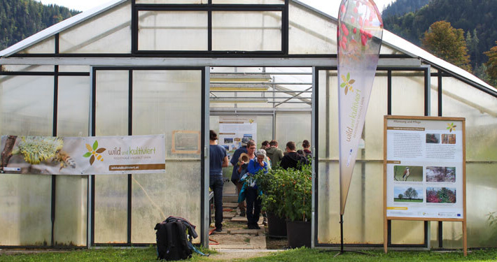 Aktivstand beim RGV-Symposium im Gewächshaus von oberrainanderskompetent